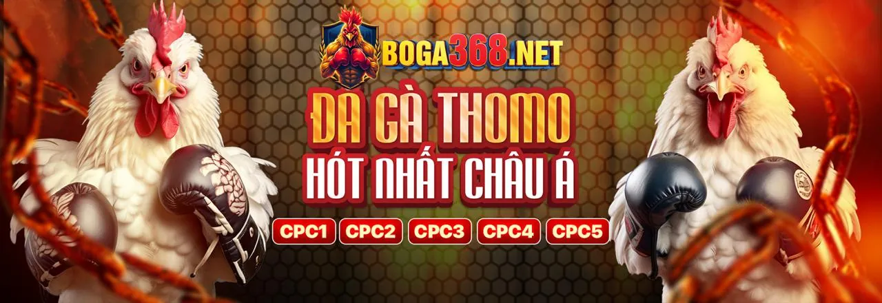Cá cược thể thao VIP ken88